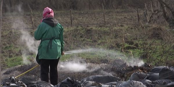 Жительница Кубани мешает соседям, незаконно сжигая чужой мусор на своем участке