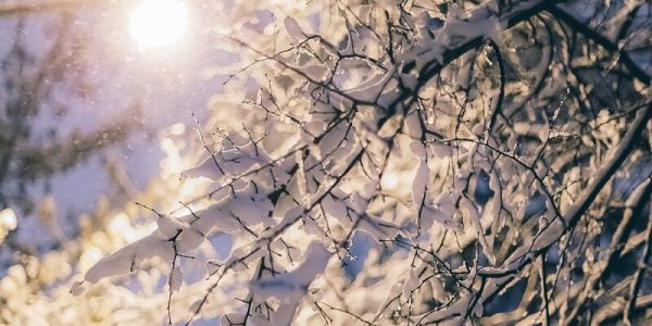 Февральские снегопады на Кубани побили 20-летний рекорд