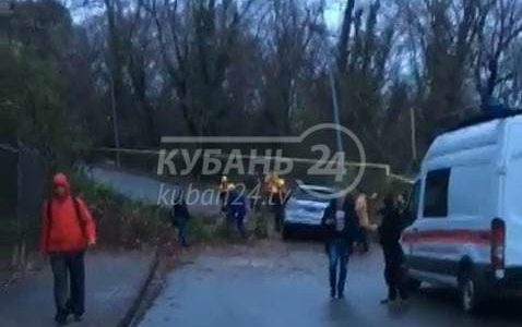 В Сочи упавшее дерево повредило машину, газовую трубу и линию электросети