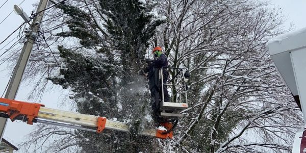 В Сочи 90% оборванных снегом ЛЭП восстановят до 21:00