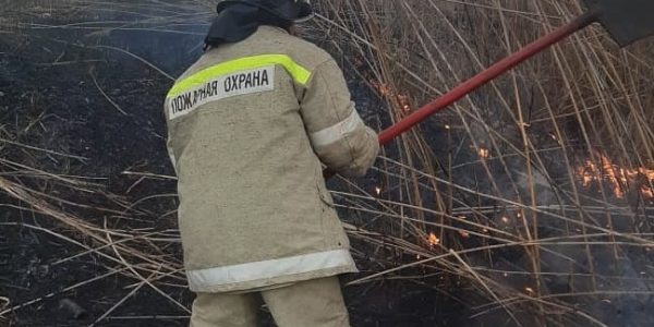 В Тимашевске загорелся камыш на площади 100 кв. метров