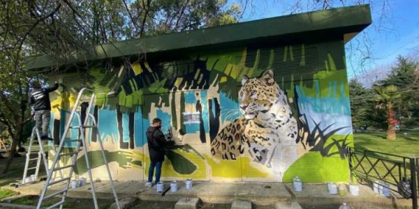 В Сочи появится новое граффити с изображением леопарда