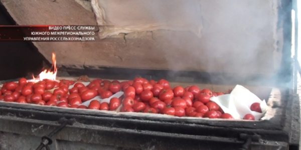 В Краснодаре сожгли 710 кг санкционных овощей