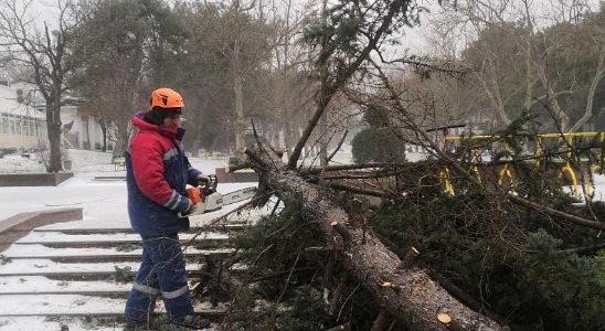 В Новороссийске ураган срывает крыши, валит деревья и заборы