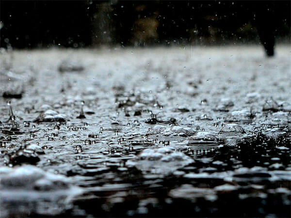 В ночь на 27 ноября в Сочи ожидается сильный дождь