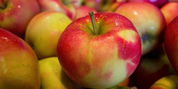 В порту Туапсе задержали 63 тонны зараженных мухой-горбаткой турецких яблок
