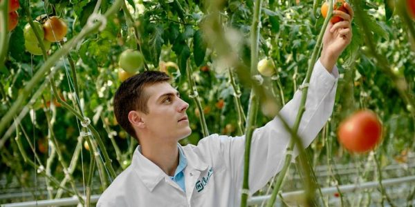 Кубанский комплекс «Зеленая линия» вошел в нацпроект по производительности труда