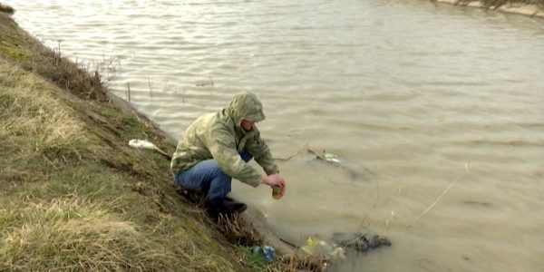 Массовая гибель рыбы произошла 18 марта под Краснодаром