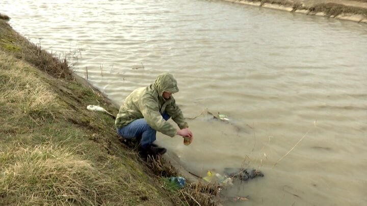 Массовая гибель рыбы произошла 18 марта под Краснодаром