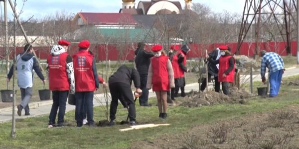 Темрюкский район присоединился к всероссийской акции «Сад памяти»