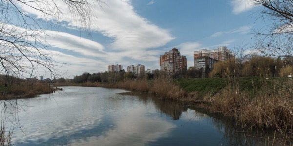 В мэрии Краснодара рассказали, когда начнется благоустройство Народного парка