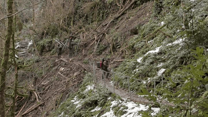 В Сочи туристические маршруты восстанавливают после снегопадов