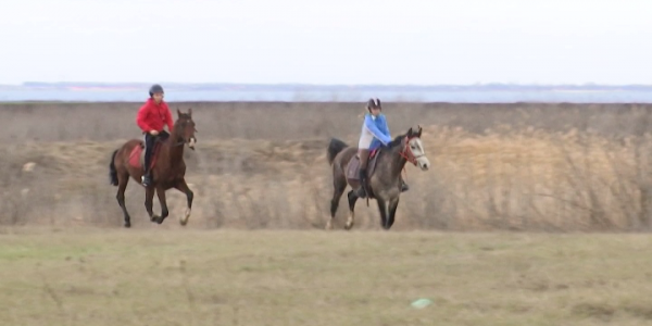 На Кубани начали развивать новую спортивную дисциплину — конные пробеги