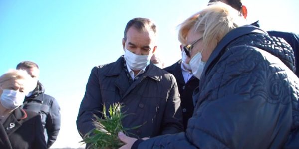 В Калининском районе губернатор края пообщался с аграриями и ученым — «Факты 24»