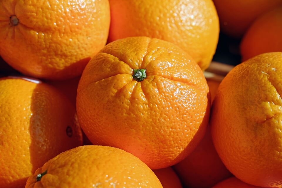 В порту Новороссийска задержали 117 тонн зараженных апельсинов