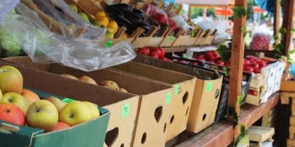 Садоводы Кубани попросили ограничить импорт фруктов пока идет сбор урожая