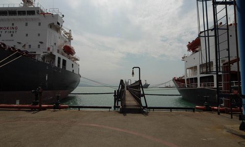 Новороссийский торговый порт компенсировал 1,7 млн рублей за вред Черному морю