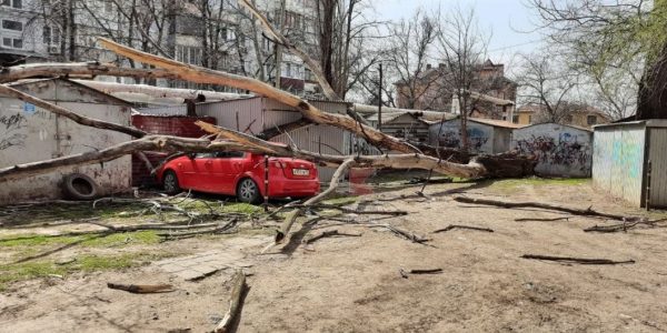 На Краснодар движется пыльная буря, сильным ветром повалило три дерева