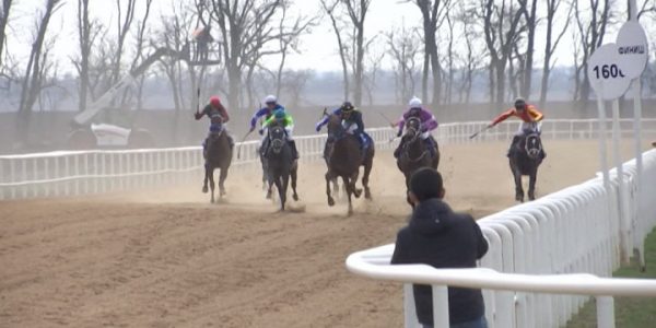 В Краснодарском крае стартовал новый сезон российских конных скачек