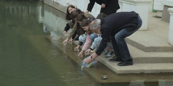 В Сочи прошла ежегодная акция по выпуску гамбузии в водоемы