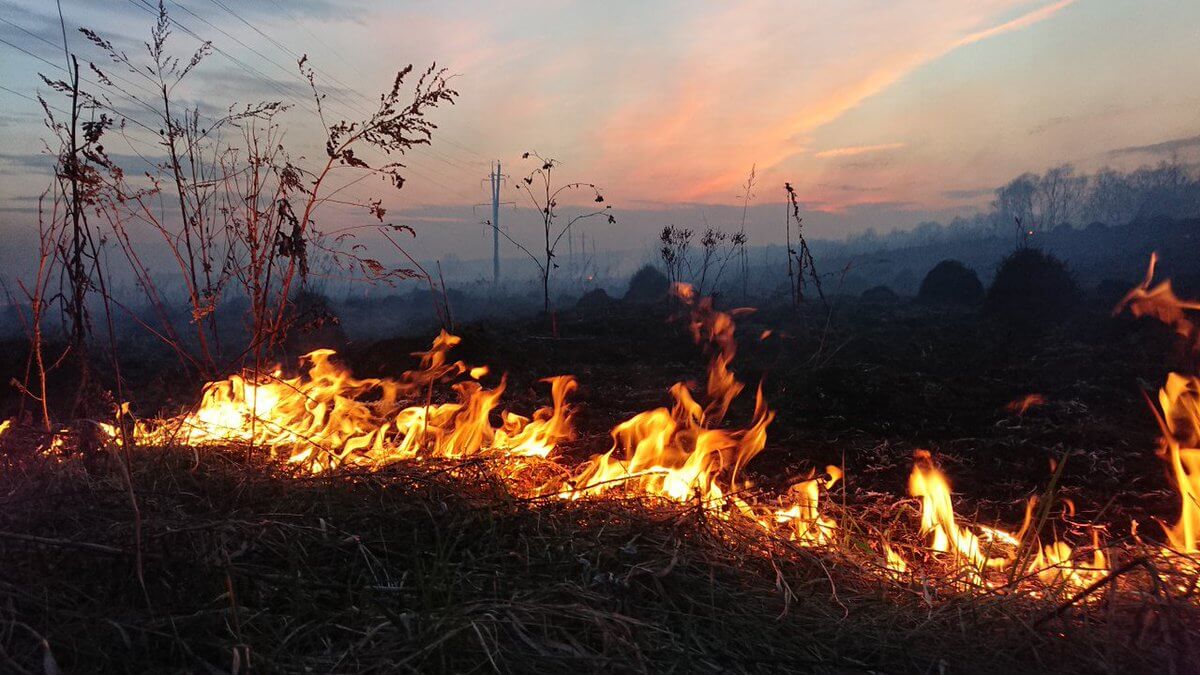 На Кубани начался пожароопасный сезон