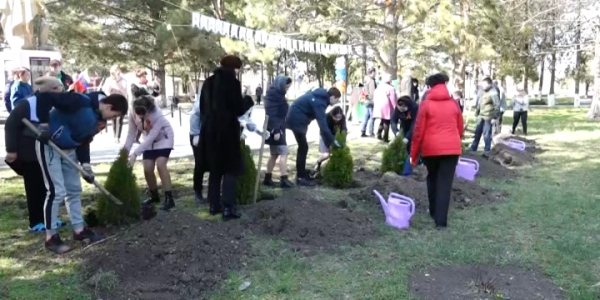 Жители Ленинградского района присоединились к акции «Сад памяти»