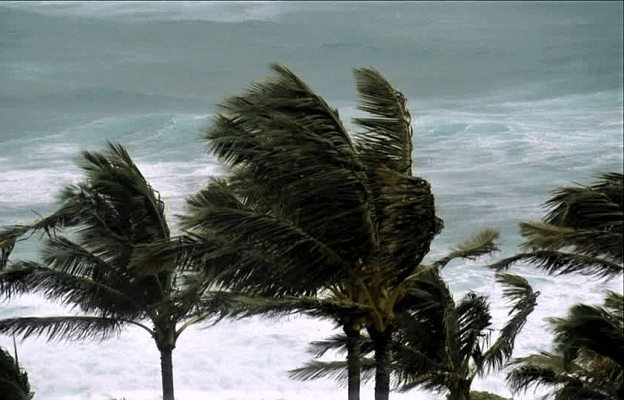 Синоптики предупредили об усилении ветра на Кубани