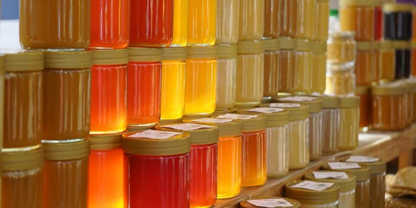 В меде пчеловодной компании из Горячего Ключа обнаружили антибиотики