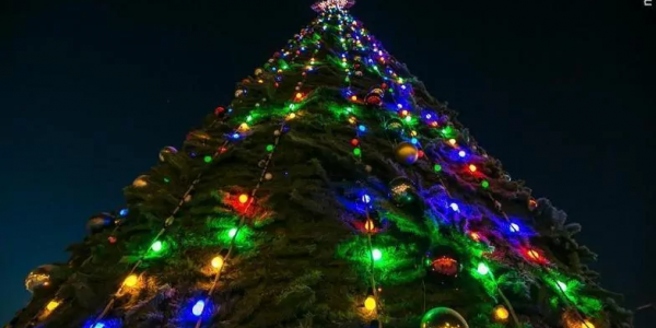 В Новороссийске объявили аукцион на покупку новогодней елки