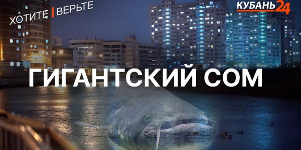 Гигантский сом | Хотите — верьте