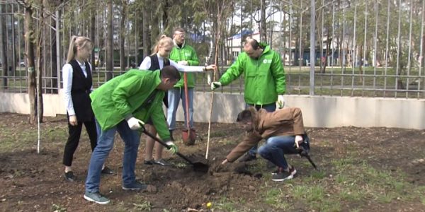 К экоакции «Краснодар — 10 тыс. деревьев» присоединилась компания ССК