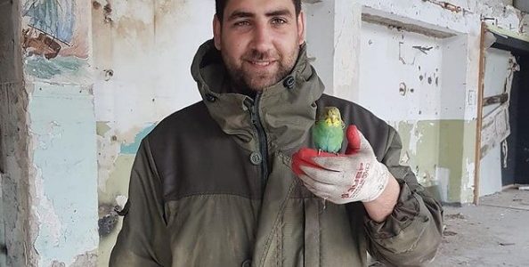 В Новороссийске спасли запутавшегося в веревке попугая