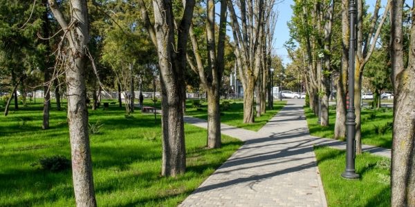 В Краснодаре волонтеры помогают горожанам голосовать за зеленые зоны