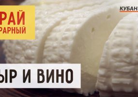 Сыр и вино | Край аграрный