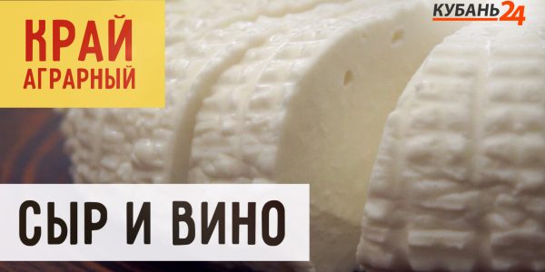 Сыр и вино | Край аграрный