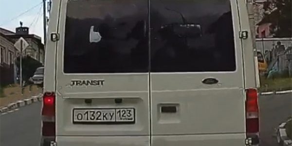В Новороссийске водитель микроавтобуса намеренно сбил собаку и скрылся