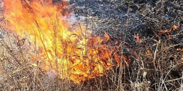 В горах Сочи прогнозируют высокую пожароопасность