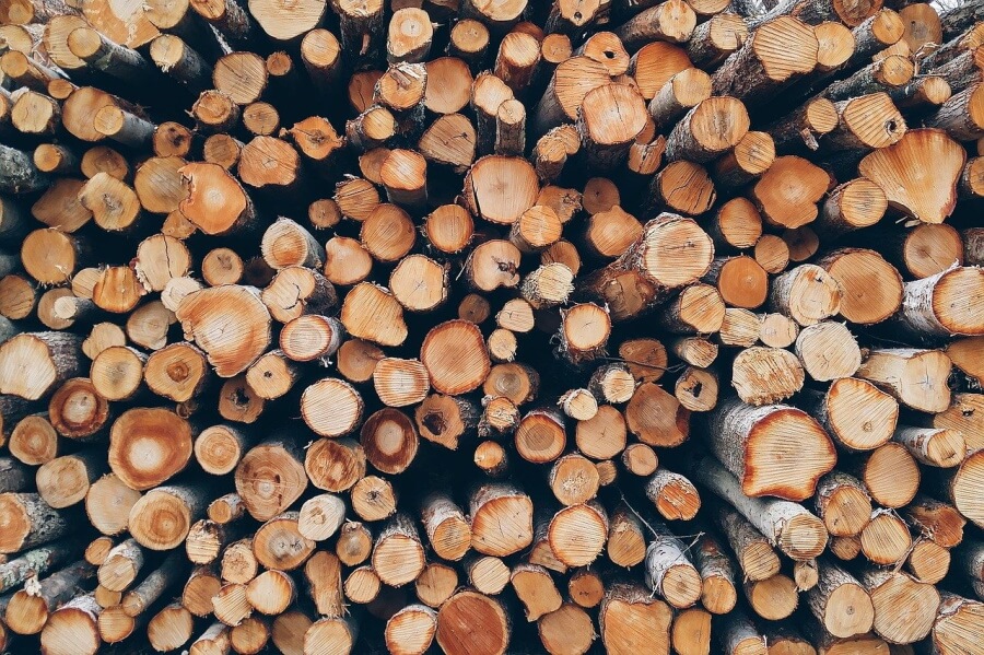 В Отрадненском районе «черные лесорубы» спилили на дрова деревья на 5,2 млн рублей