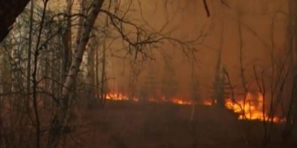 В Краснодарском крае началась подготовка к пожароопасному летнему сезону