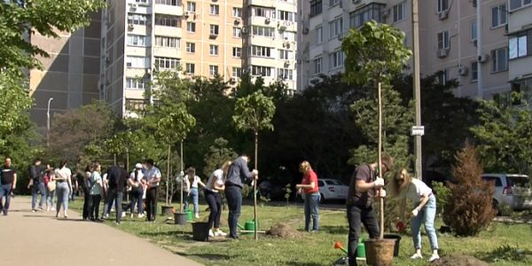 В Краснодаре сотрудники и клиенты Сбербанка приняли участие в акции «Сад памяти»