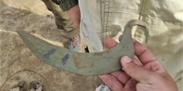 На Кубани на месте будущей дороги нашли серп из бронзы возрастом 3,5 тыс. лет