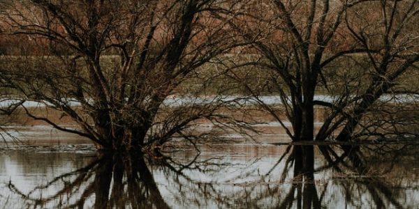 Опасный подъем уровня воды в реках ожидается с 30 мая по 1 июня на Кубани