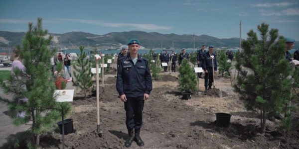 В Новороссийске в рамках Всероссийской патриотической акции высадили 80 кедров
