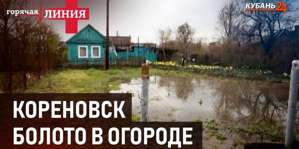 Болото в огороде | Горячая линия+