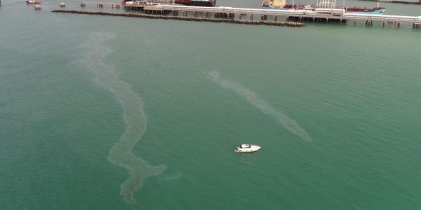 МЧС сообщило о ликвидации масляных пятен в море около Туапсе