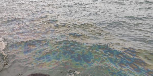 «Роснефть» заявила о непричастности к разливу нефтепродуктов в море около Туапсе