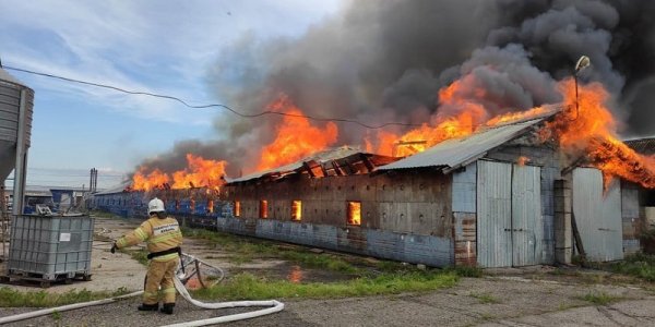 В Тимашевском районе сгорел корпус птицефабрики