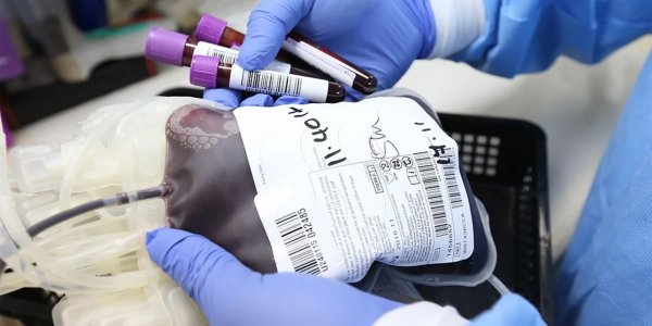 Кровный друг: 14 июня день донора крови. Как им стать?