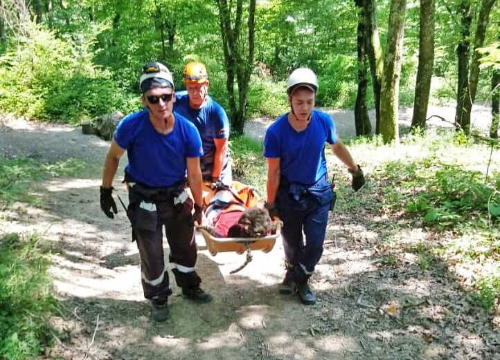 В Сочи спасатели вынесли на носилках из леса подвернувшую ногу туристку