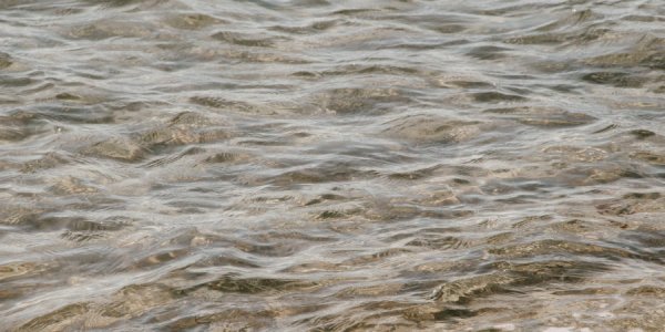 За лето в водоемах Краснодара утонули четыре человека
